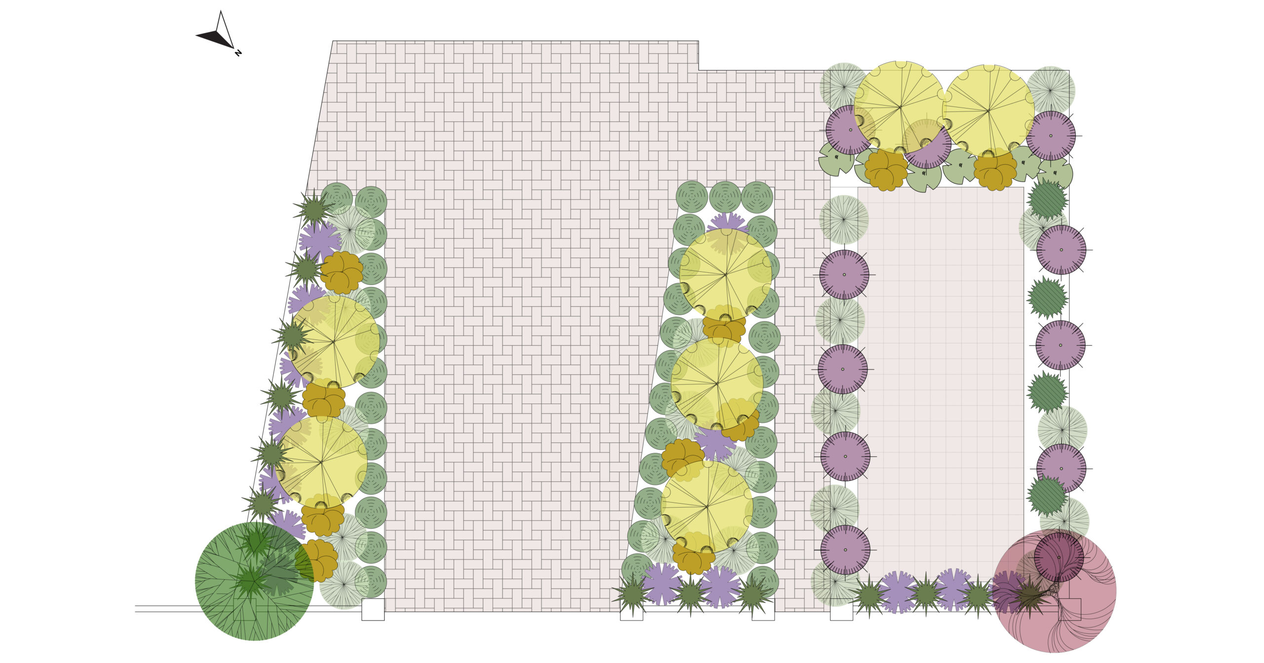 Front yards plan drawing colored