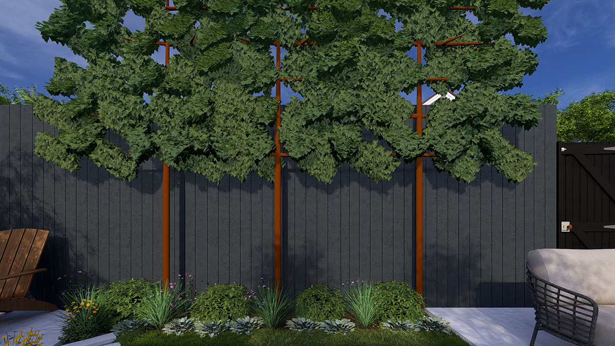 Garden Beds adjusted